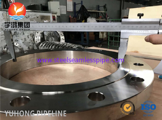 Flange de acero inoxidable ASTM A182 F904L 300LBS B16.5 para la industria petroquímica