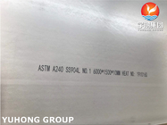 Alta placa de acero inoxidable N08904 de la resistencia ASTM A240 TP904L 1,4539