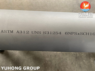 Tubos y tuberías de acero dúplex A312 Material S31254 S30815 Longitud máxima estándar de 20 metros, extremos lisos