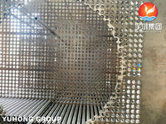 Hoja de tubo forjada de acero inoxidable de ASTM A182 316L para el cambiador de calor