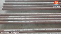 Exchanger de calor de acero T9 de aleación ASTM A213 SMLS, tubos de caldera