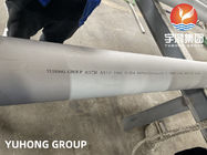 ASTM A312 UNS S31254 (el 6% Moly, 1,4547), 254MO, dibujo frío y el laminar, tubo sin soldadura inoxidable de Stel