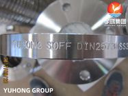 Resbalón de DIN2573 ASTM A182 F316L en los rebordes forjados de acero inoxidables de los rebordes