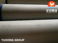 Tubo inconsútil de acero inoxidable 100% de ASTM A312 TP317L Y tubo de caldera de UT