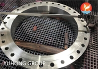 Reborde de acero inoxidable del duplex estupendo del reborde ciego del diámetro grande de ASTM A182 F53