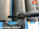 Topo sin costura de acero inoxidable duplex ASTM A789 UNS S32250 para tratamiento de agua