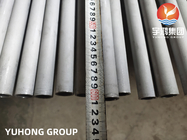 El HT inconsútil de acero inoxidable del tubo de caldera TP321/1,4541 de ASME SA213/S32100 proporcionó