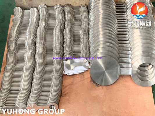 Buena resistencia a la corrosión ASTM A182 F316L Flange de gafas forjadas