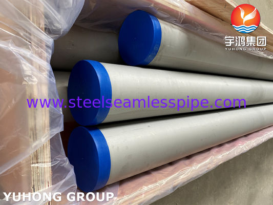 Tubo sin soldadura de acero inoxidable 254 SMO ASTM A312 UNS S31254 para intercambiadores de calor y la industria química
