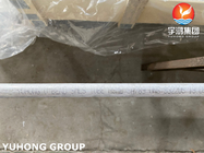 Condensador inconsútil de acero inoxidable del tubo del duplex de ASME SA789/SA790 S32205