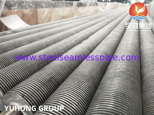 Tubo de extrusión de aleta de acero inoxidable para calderas ASTM A269 TP304L