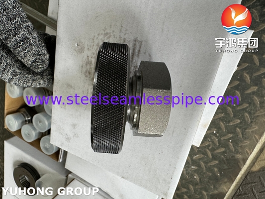 A105 Acero al carbono fijación de hilo Hex Plug ASTM A105 ASME B16.11
