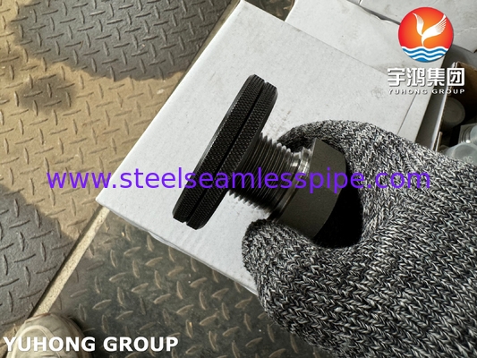 A105 Acero al carbono fijación de hilo Hex Plug ASTM A105 ASME B16.11