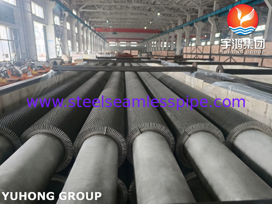 TP304H HFW tubo de aleta dentada tipo ASTM A312 para el sistema de vapor de recuperación de calor HRSG