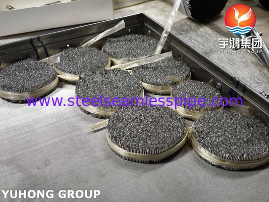 Tubo de aguja de inyección de acero inoxidable, SUS304 16G Aguja veterinaria para el cuidado de los animales