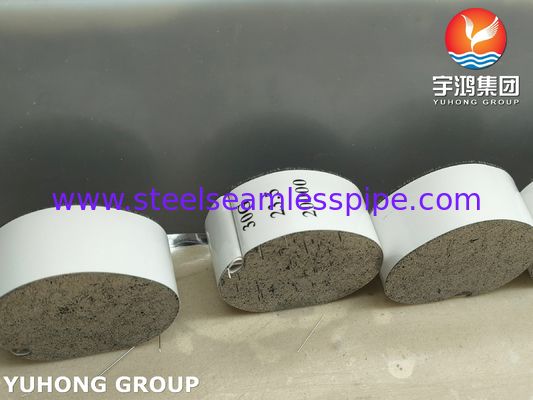 Tubo de aguja de inyección de alta precisión de acero inoxidable con punta biselada de 30G para uso médico