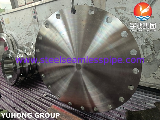 SA182 F304L de acero inoxidable deslizante en el brido de unión del brido RF FF para el servicio de alta temperatura
