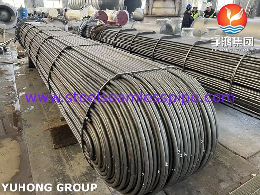 STAINLESS STEEL HEAT EXCHANGER TUBE BUNDLE A179 A213 TUBE WITH TUBESHEET BAFFLE