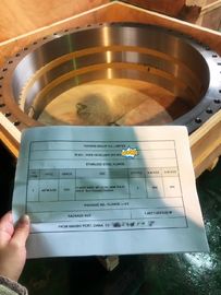 ASTM A182 forjó ANSI B16.47 Seris de los rebordes del acero inoxidable un B 150# - 2500#