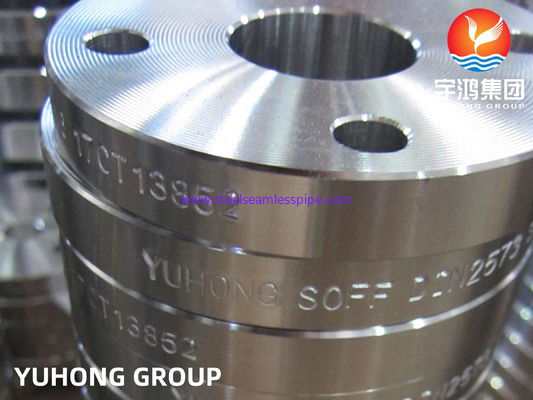 DIN2573 F316L Flange deslizante de acero inoxidable (cara plana), para uso en entornos de alta temperatura