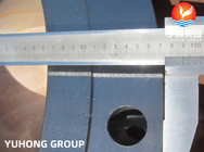 Desalinización de agua ASTM A182 F51 ((UNS S31803) Cuello de soldadura de acero dúplex RF Flange B16.47