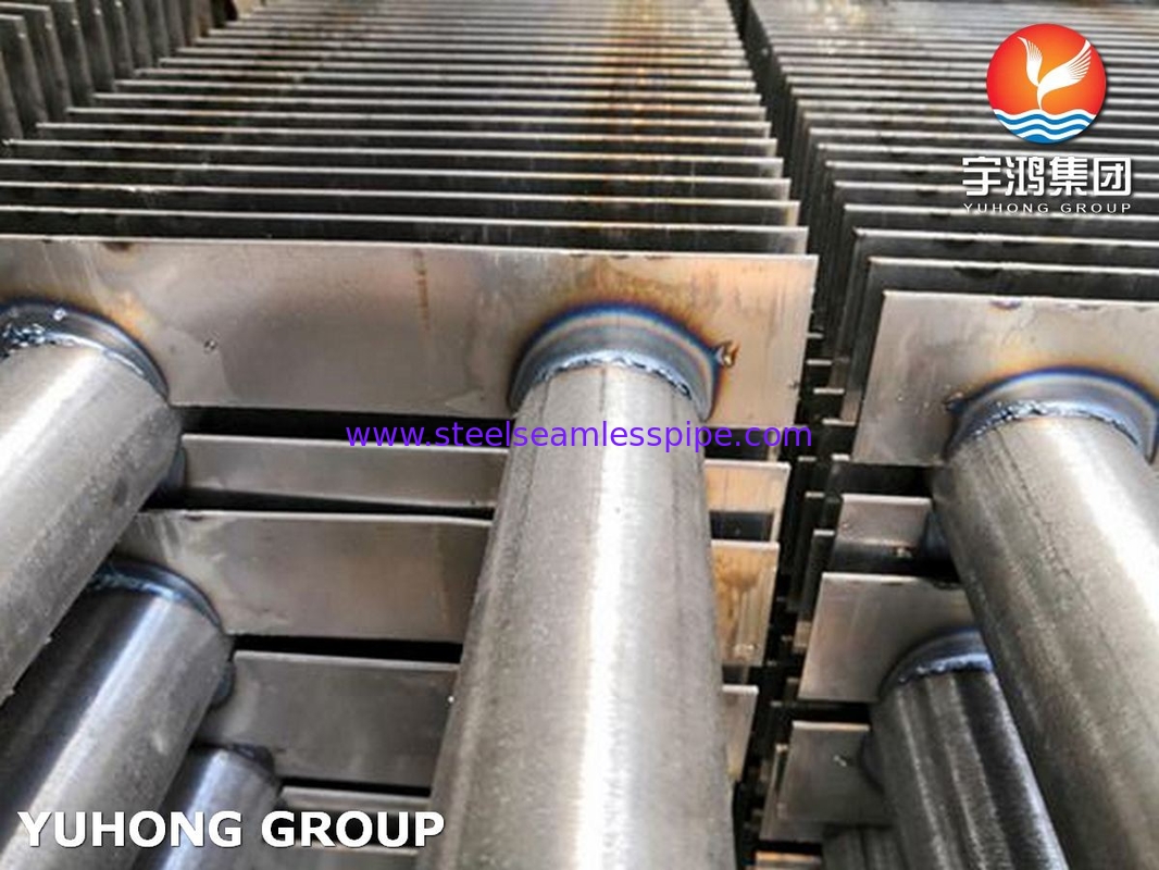 Tubo de aleta de acero inoxidable H tipo A213 TP316L con aleta SS SS316L para calentador de humo