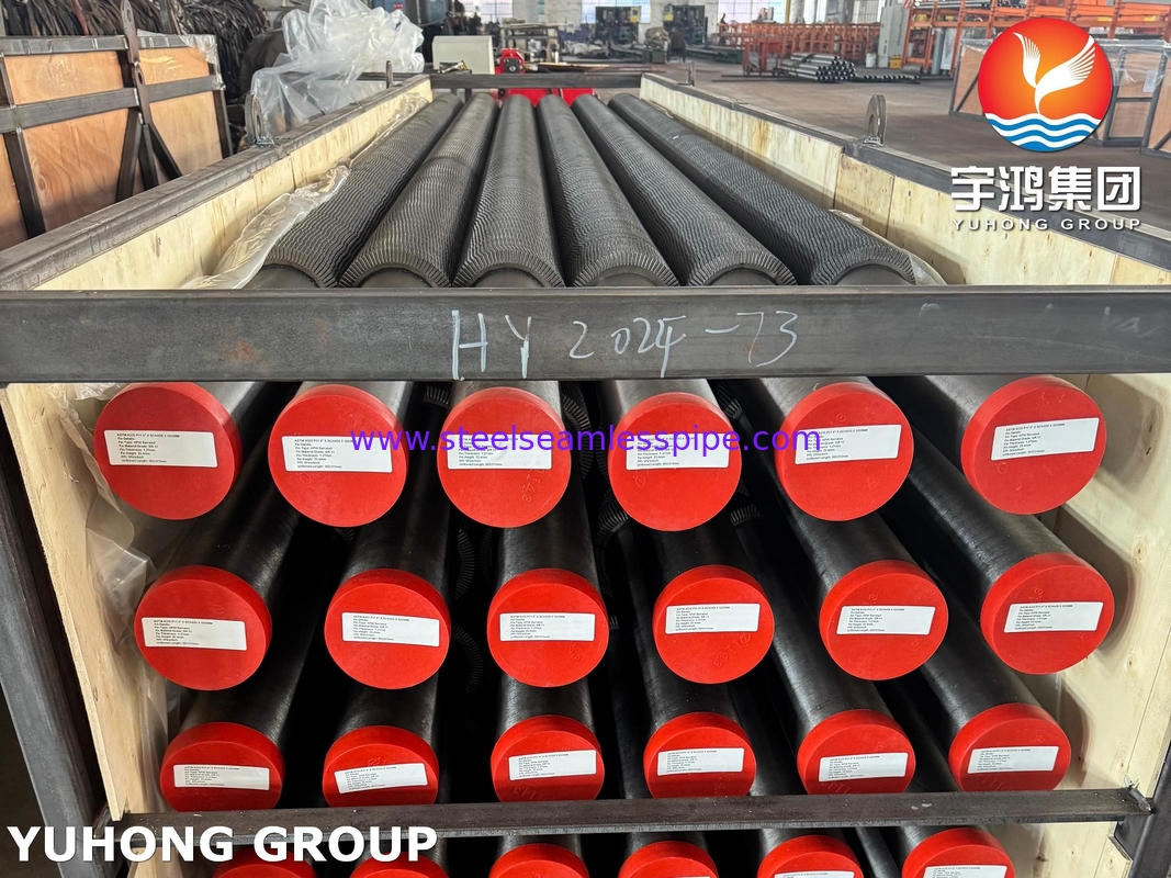 ASTM A335 P11 de aleación de acero de alta frecuencia de soldadura tubo de aleta dentada para HRSG y caldera