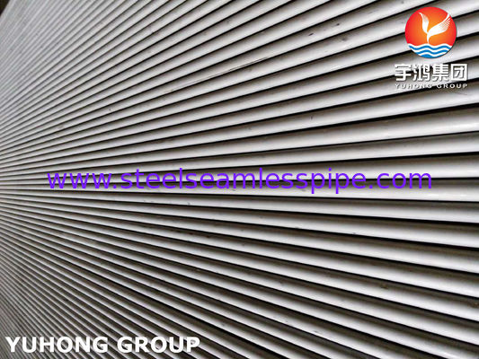 TUBO INCONSÚTIL DE ACERO INOXIDABLE DE ASTM B677/ASME SB677 UNS NO8904/TP904L/1.4539