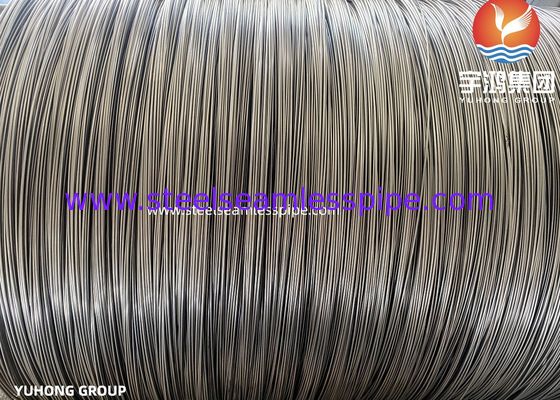 Tubo de aguja de acero inoxidable T.I.G Soldado y sin costuras TP304 TP316L