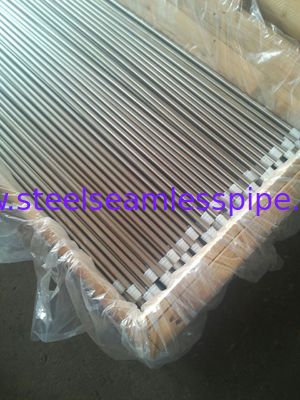 Tubos recocidos brillantes ASTM A213/ASME SA213-10a TP304/TP304H/TP304L del acero inoxidable para el cambiador de calor