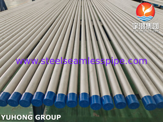Tubo de acero inoxidable sin costura ASTM A213 TP316L 1.4404 para tratamiento de agua, ET / HT